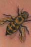bee tattoo