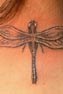 dragonfly on neck